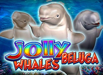 Jolly Beluga Whales